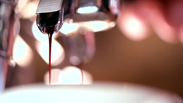Brewing Fresh Espresso Coffee Portafilter Closeup — Stock Video