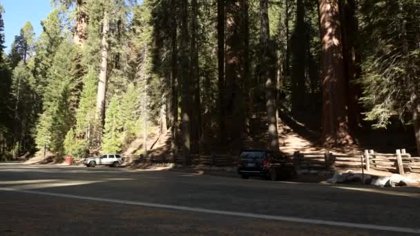 Novembro 2017 Parque Visitantes Carros Área Estacionamento Parque Nacional Sequoia — Vídeo de Stock