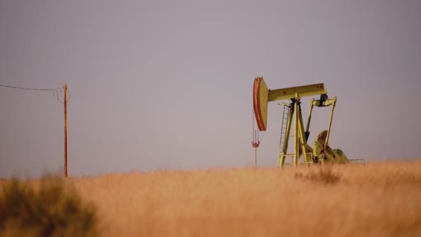 Нефтяной Насос Калифорнийских Прериях Промышленный Закат Тема Нефтяной Промышленности Насосным — стоковое видео