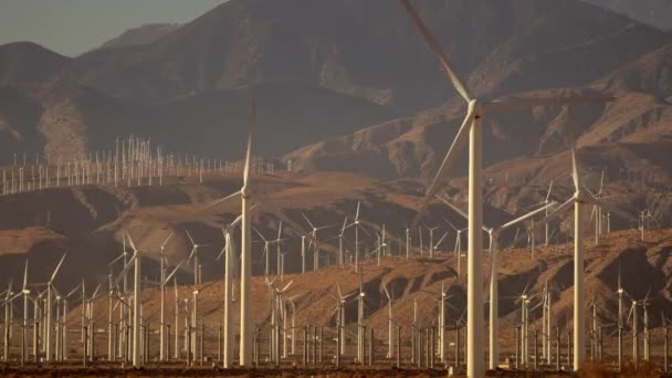 Coachella Vadisi Bölgesi Nde Rüzgar Türbinleri Ile Modern Enerji Santrali — Stok video