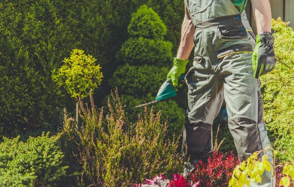 Tuin voorjaar trimmen baan — Stockfoto