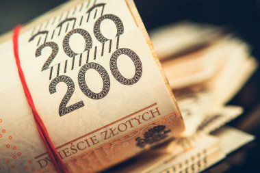 Lehçe Zloty Banknotlar Rulo