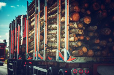 Wood Material Transportation