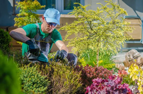 Tuinplanten lente Shaping — Stockfoto