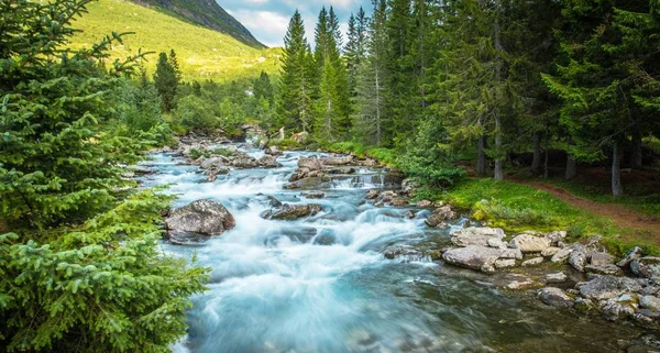 Paesaggio paesaggistico estivo — Foto Stock