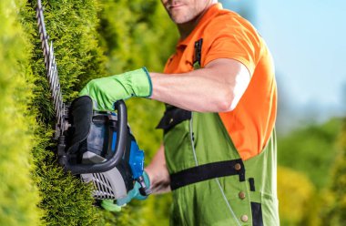 Hedge Trimmer Bahçe Çalışmaları