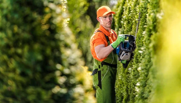 Hedge Trimming Trabalho — Fotografia de Stock