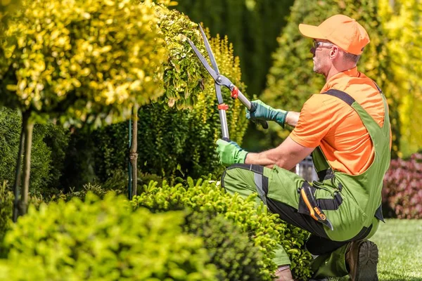 Why Garden Maintenance Is So Important
