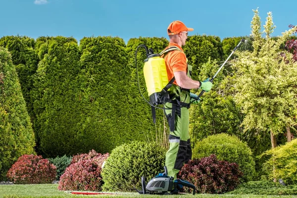 Plantas de trabalho inseticida — Fotografia de Stock