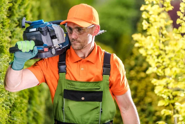 Hecken und Bäume stutzen — Stockfoto