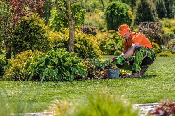 Travailleur de jardin professionnel — Photo