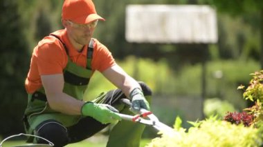 Profesyonel Bahçıvan Kırpma Bitkiler Backyard Garden Büyük Makas kullanarak.