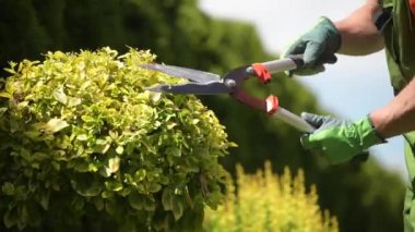 Bahar bahçe sezonunda bahçıvan kesme Bahçe Bitkileri.