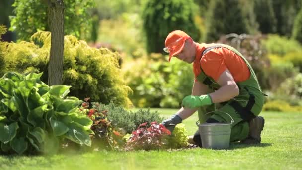 Jardinero caucásico durante la primavera Trabajo de limpieza en un jardín . — Vídeos de Stock