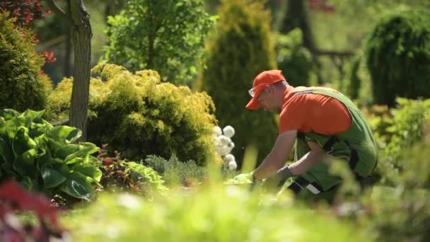 Trabajo en el jardín horario de verano. Jardinero caucásico cuidando de su jardín . — Vídeo de stock