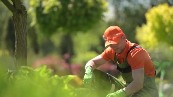 Kaukasiska män i en trädgård. Landskapsplanering jobb. — Stockvideo