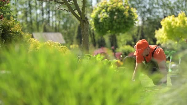 Primavera Giardino lavoro. Giardiniere caucasico prendersi cura del suo giardino durante la stagione primaverile . — Video Stock