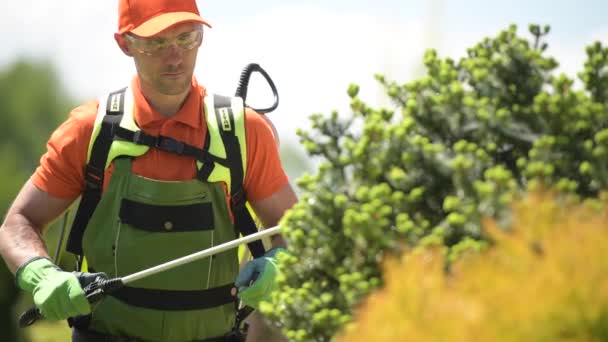 Trabajo de insecticida jardinero. Trabajador de jardín caucásico con equipo de pulverización. — Vídeos de Stock