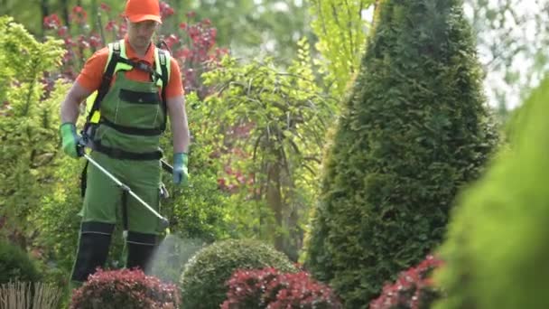 Jardinero caucásico y plantas de jardín Insecticida Trabajo. Mantenimiento del paisaje de primavera . — Vídeo de stock