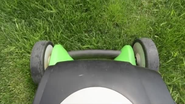 Cortadora de césped usando segadora de gasolina. Mantenimiento del jardín del patio trasero . — Vídeos de Stock