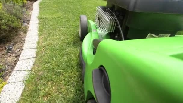 Backyard Garden Maintenance. Grass Mowing Using Professional Mower. — Stock Video