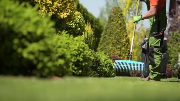 Καυκάσιος κηπουρός να μαζεύει γρασίδι στον κήπο της αυλής. Συντήρηση χρόνου άνοιξης — Αρχείο Βίντεο