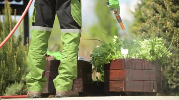 Riego de hierbas usando manguera de jardín. Jardín de trabajo . — Vídeos de Stock