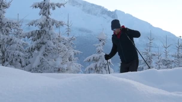 Langsom Bevægelsesoptagelser Kaukasiske Mænd Erne Nordic Walking Hike Bjergsti – Stock-video