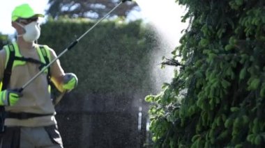 Profesyonel İnsektisit Püskürtme Ekipmanları ile Kafkas Bahçıvan. Bahçe Bitkileri Böcek.