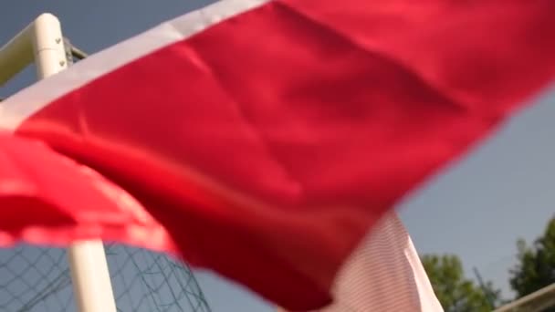 Bandera Nacional de Polonia en Manos de Abanico Polaco Deportivo en Movimiento Lento — Vídeo de stock