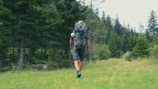 Mannen lopen op het parcours. Wandelen op de bergpad — Stockvideo