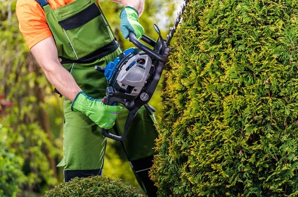 Trädgårdsmästare Topiary jobb — Stockfoto
