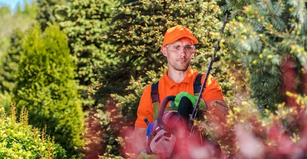 Zahradník oříznutí rostliny — Stock fotografie