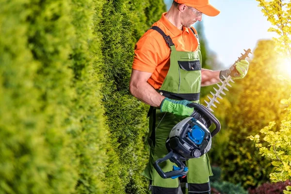 Trädgård kraftutrustning — Stockfoto