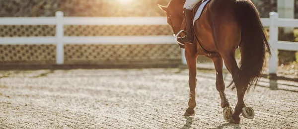 Passeios a cavalo ao pôr do sol — Fotografia de Stock