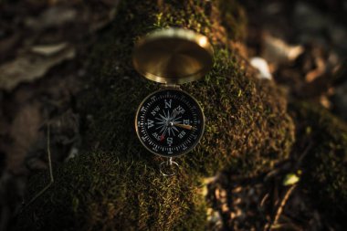 Mossy Rock üzerinde Pusula