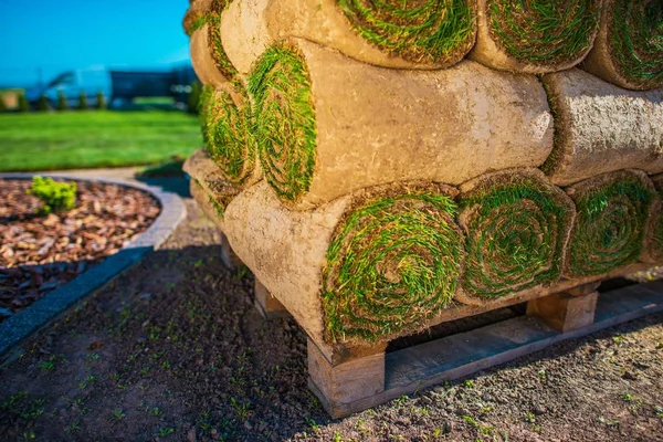 Instalación de hierba de jardín — Foto de Stock