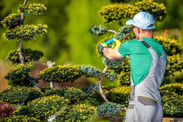 Gartenpflege — Stockfoto