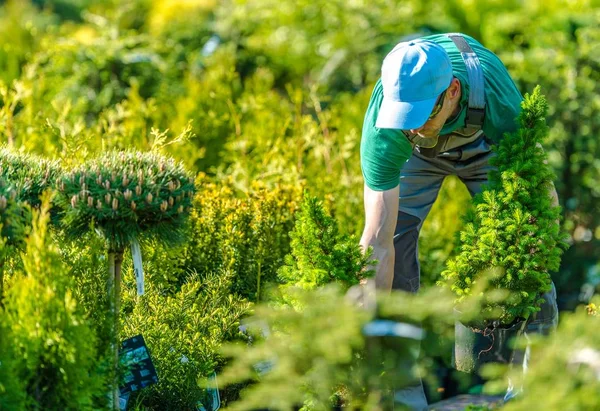 Arbeit im Gartengeschäft — Stockfoto