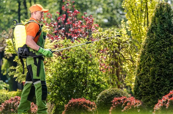 Giardiniere Applicazione di fertilizzante — Foto Stock