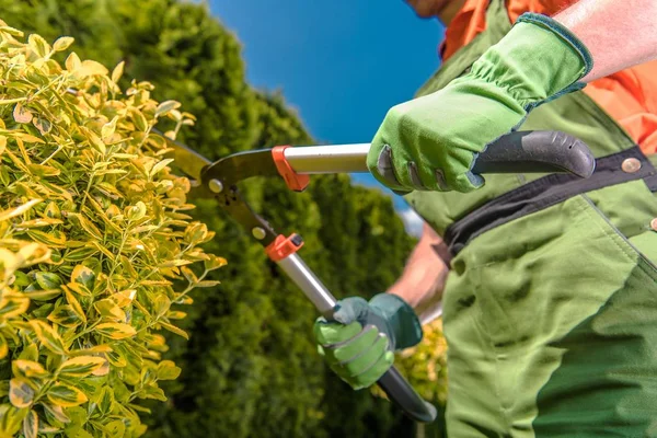 Landscaping Industry Job — Stock Photo, Image