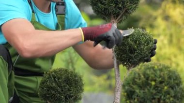 30'lu Yandama Tesislerinde Kafkas Bahçe İşçisi