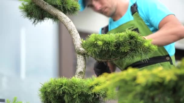 Caucasien Hommes Découpage des plantes de jardin . — Video