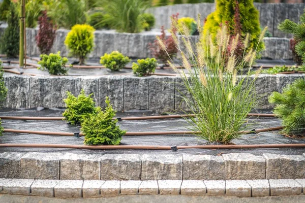 Garden Watering Technology — Stock Photo, Image