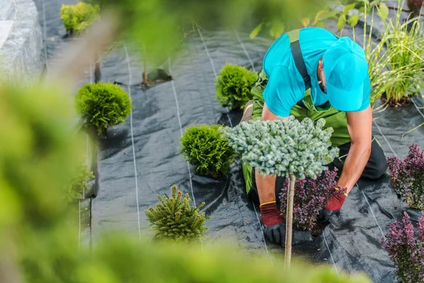 Gärtner baut neuen Garten — Stockfoto