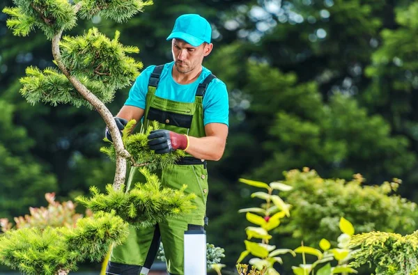 Summer Garden Works — Stock Photo, Image