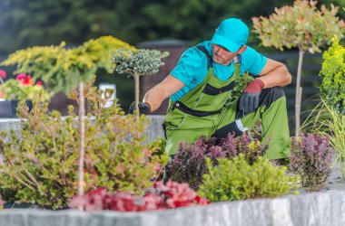 Yeni Gelişmiş Bahçe