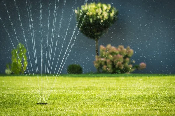 Aspersor de jardim de água — Fotografia de Stock