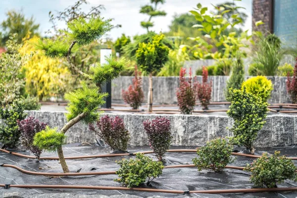 Gartenautomatische Bewässerung — Stockfoto