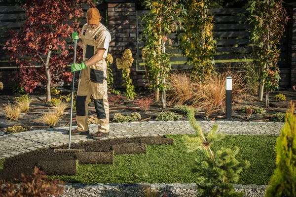 Nieuwe tuin gras turfs — Stockfoto